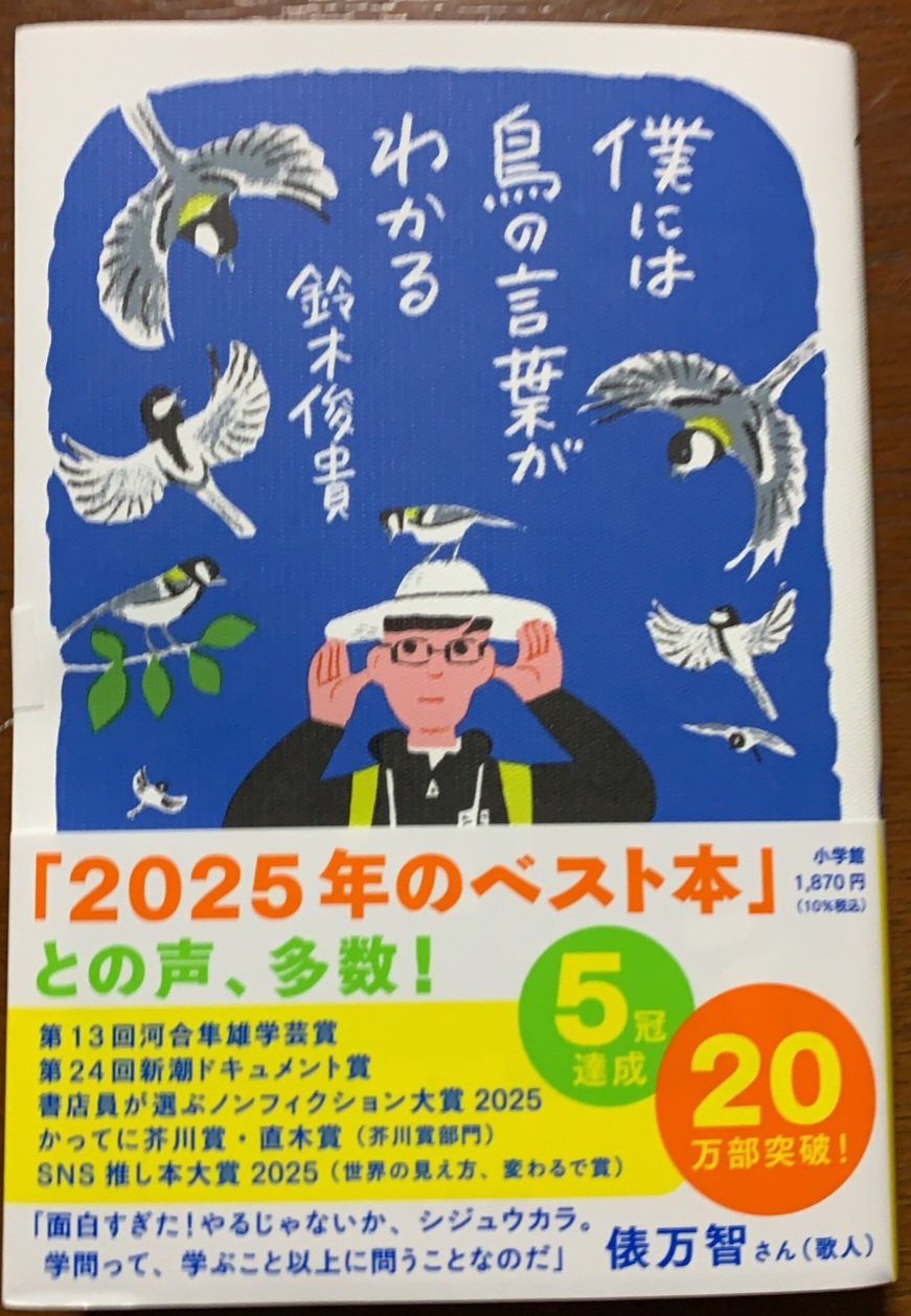 精講古典国語 鈴木一雄 学生社 1967年発行？　絶版　廃盤レア　希少　プレミア 新潮日本古典集成〈新装版〉 狭衣物語 上』 鈴木一雄／校注 | 新潮社