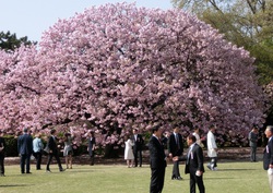 桜を見る会③.jpg