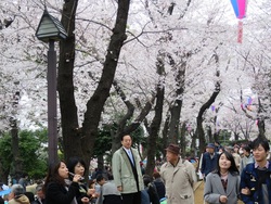 飛鳥山公園0402.jpg