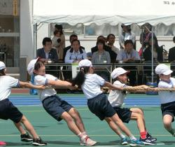 小学校運動会.jpg